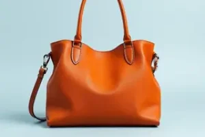 Bolsa Família