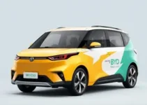BYD King