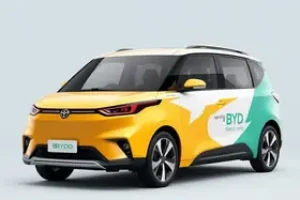BYD King