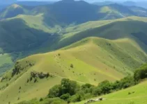 cursinhos em Serra