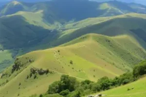 cursinhos em Serra