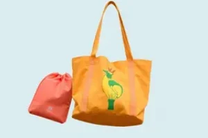 Bolsa Família