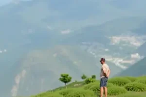 MEI e aposentadoria