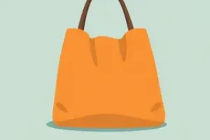 Bolsa Família
