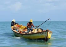benefício para pescadores do Brasil
