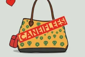 Bolsa Família