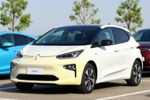 carros elétricos usados