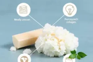 colágeno hidrolisado