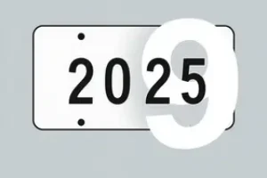 licenciamento 2025 placa final 9