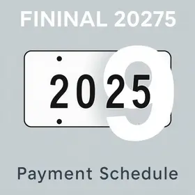 licenciamento 2025 placa final 9