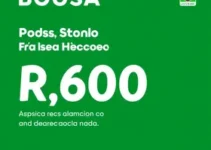 Bolsa Verde