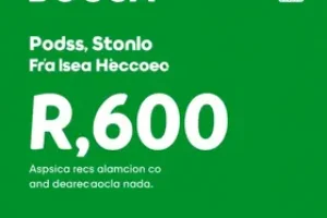Bolsa Verde