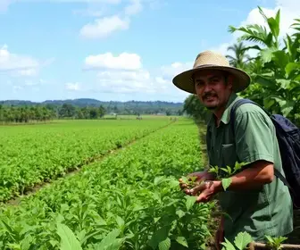 Agro Amazônia