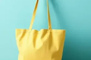 Bolsa Família