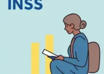 formas de contribuição INSS 2025