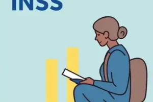 formas de contribuição INSS 2025